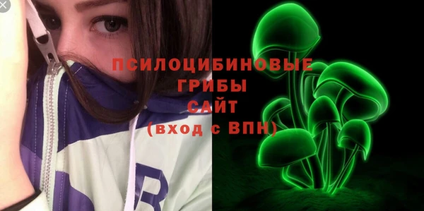 стаф Гусь-Хрустальный