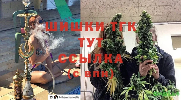 стаф Гусь-Хрустальный