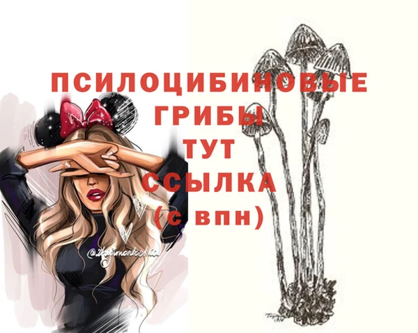 герыч Гусев