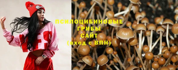 стаф Гусь-Хрустальный