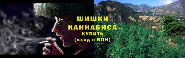 стаф Гусь-Хрустальный